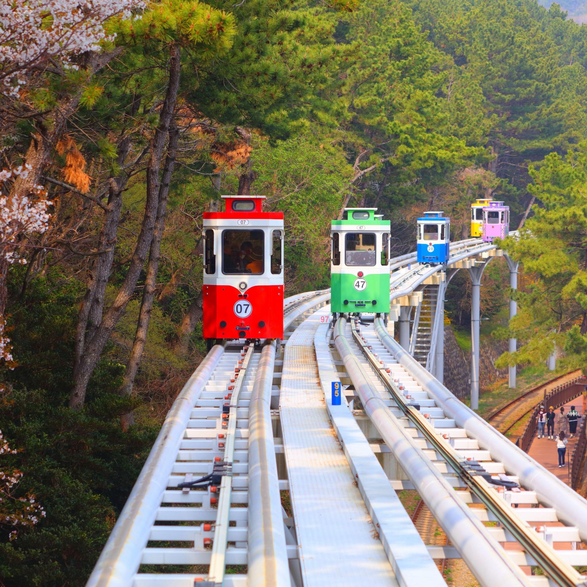 2026.HÀN QUỐC MÙA HOA ANH ĐÀO – BUSAN – GYEONGJU – ULSAN – SEOUL