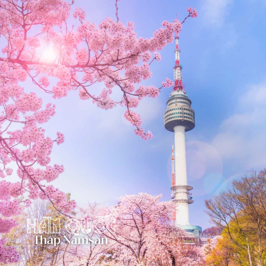 2026.MÙA HOA ANH ĐÀO HÀN QUỐC: SEOUL – NGẮM HOA ANH ĐÀO