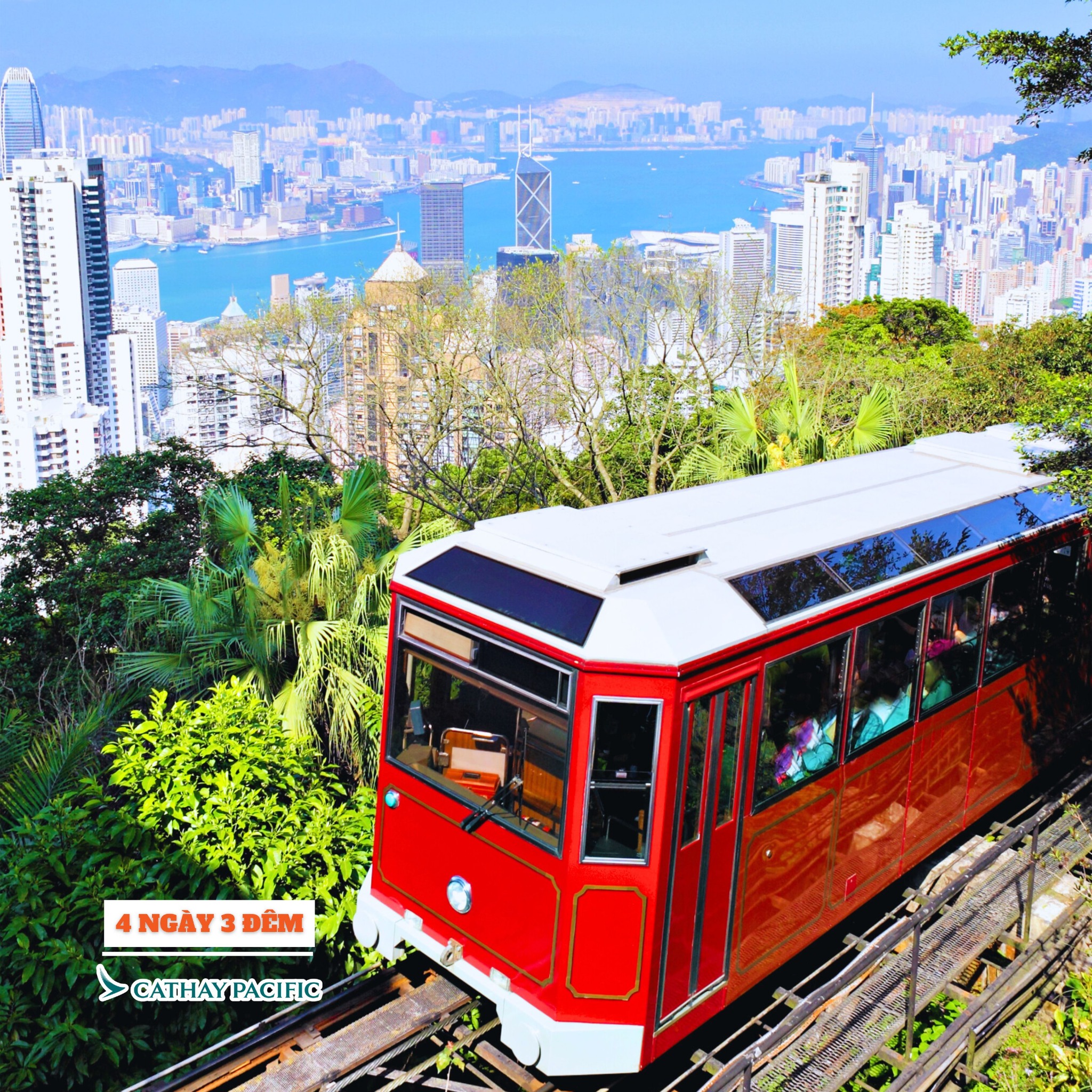 HONGKONG FREE DAY BAY CX