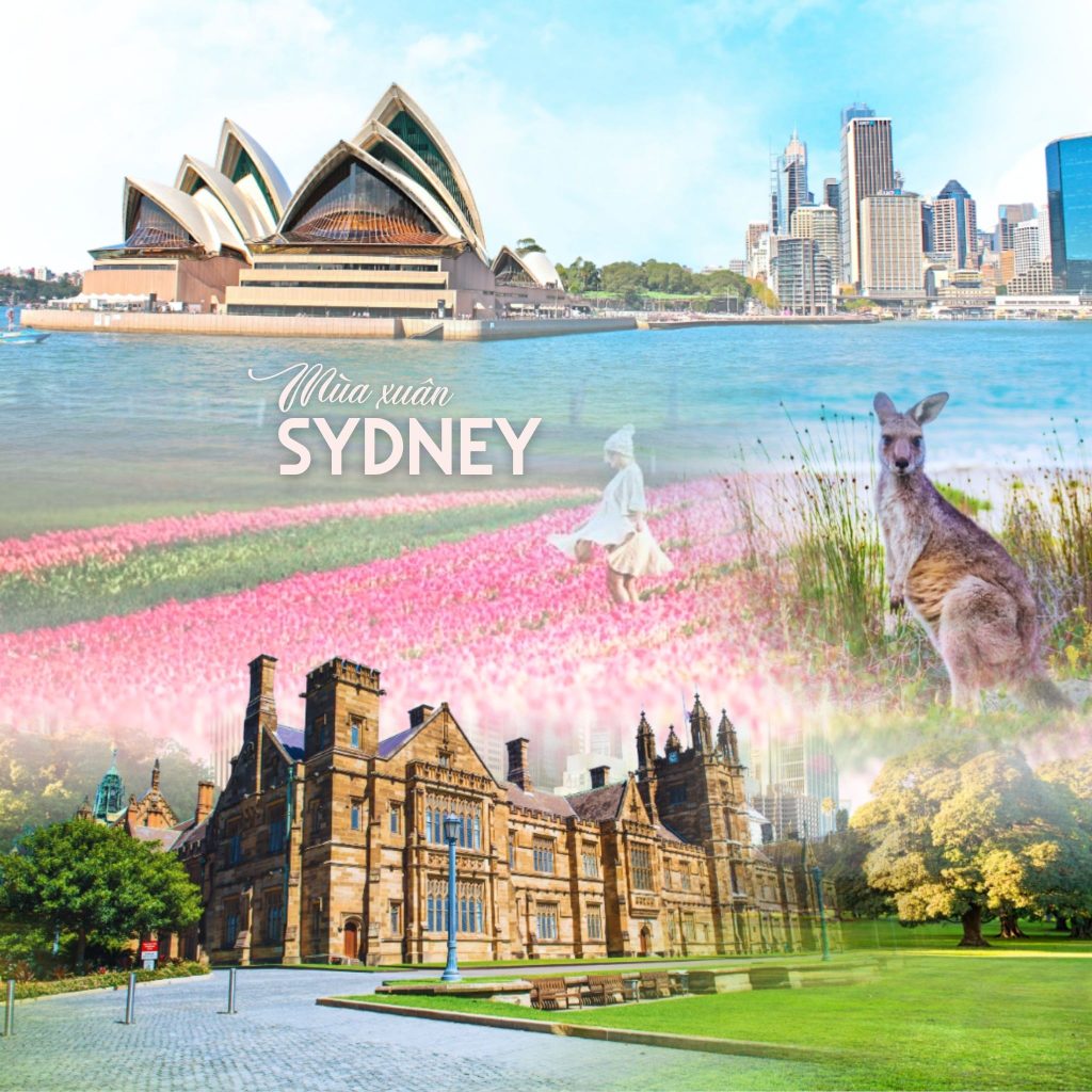 Mùa xuân SYDNEY