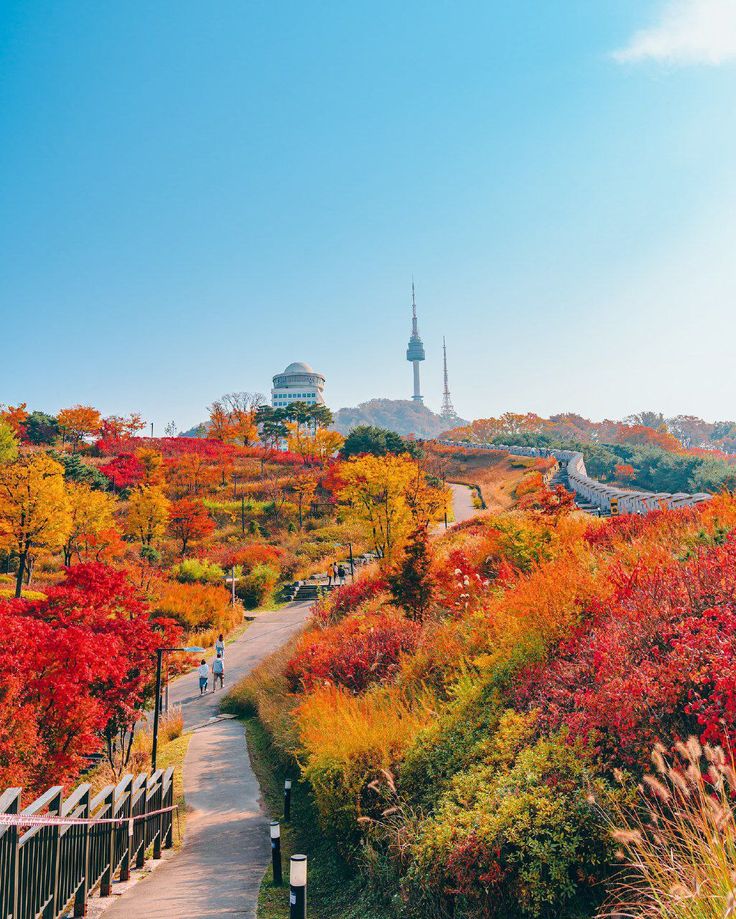 MÙA THU HÀN QUỐC: SEOUL -  NAMI - EVERLAND