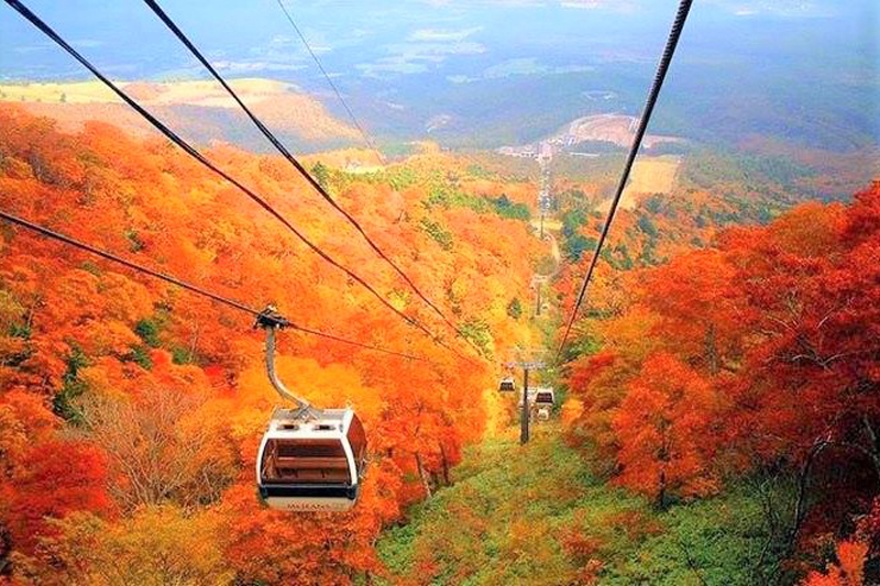 MÙA THU HOKKAIDO
