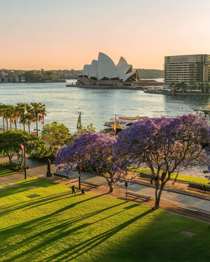 Sunset.aus.jacaranda.2